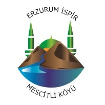 İSPİR MESCİTLİ (VARTİNİK) KÖYÜ DERNEĞİ - ATAŞEHİR